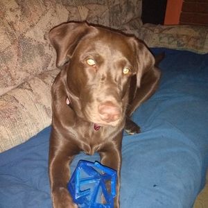 Meet your Posher, Russell